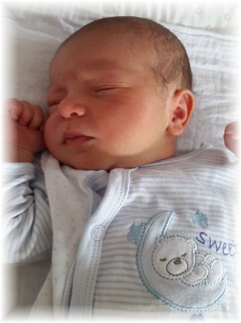 041_2016.jpg - 57975 Bytes