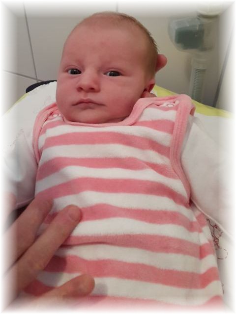 043_2016.jpg - 57975 Bytes