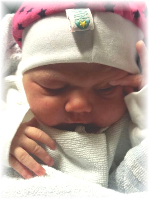 044_2016.jpg - 57975 Bytes