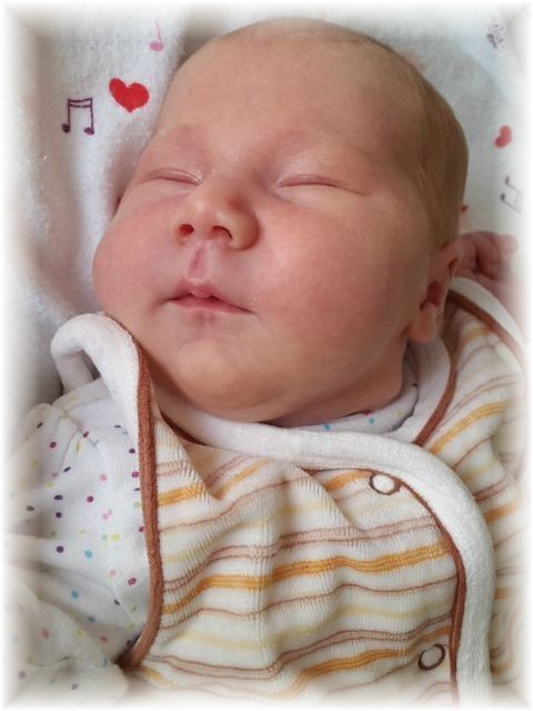 045_2016.jpg - 57975 Bytes