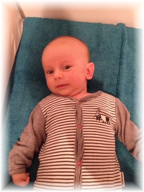 051_2016.jpg - 44868 Bytes