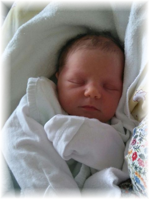 058_2016.jpg - 44868 Bytes