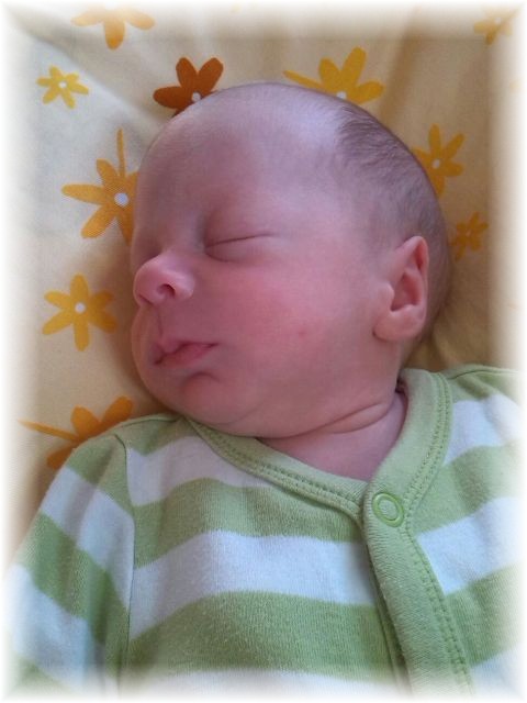 059_2016.jpg - 44868 Bytes