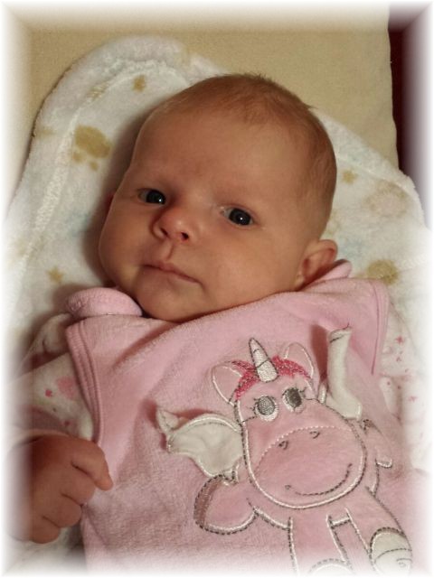 062_2016.jpg - 44868 Bytes