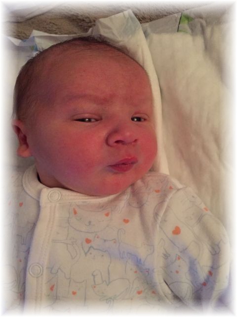 065_2016.jpg - 44868 Bytes