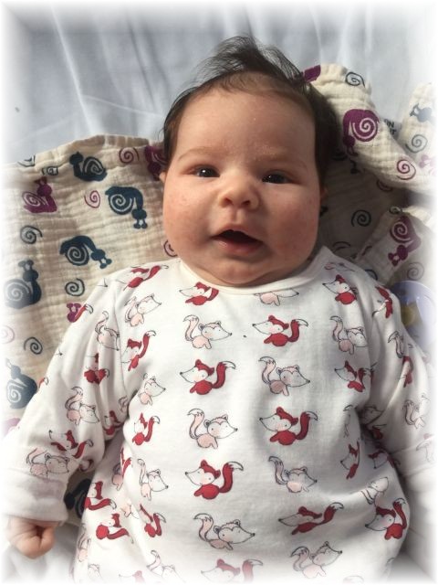 003_2017.jpg - 65250 Bytes