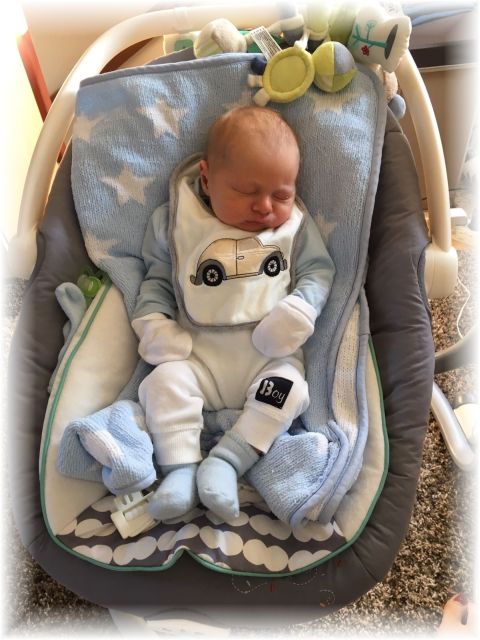 005_2017.jpg - 65250 Bytes