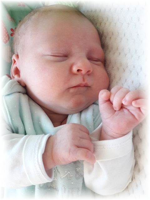 006_2017.jpg - 65250 Bytes