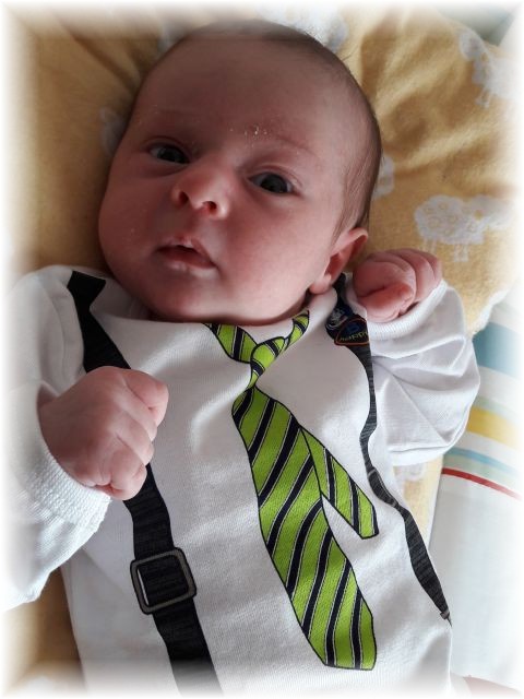 007_2017.jpg - 65250 Bytes