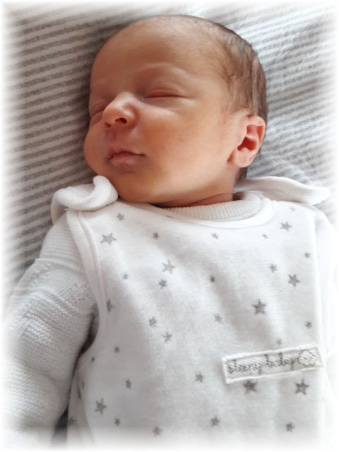 008_2017.jpg - 65250 Bytes