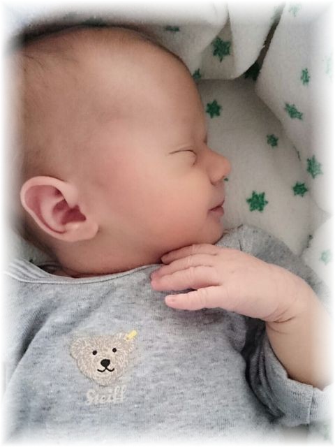 010_2017.jpg - 65250 Bytes