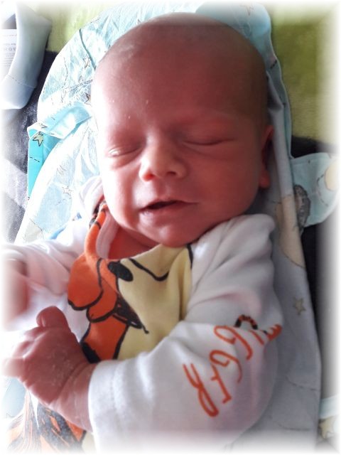 012_2017.jpg - 65250 Bytes