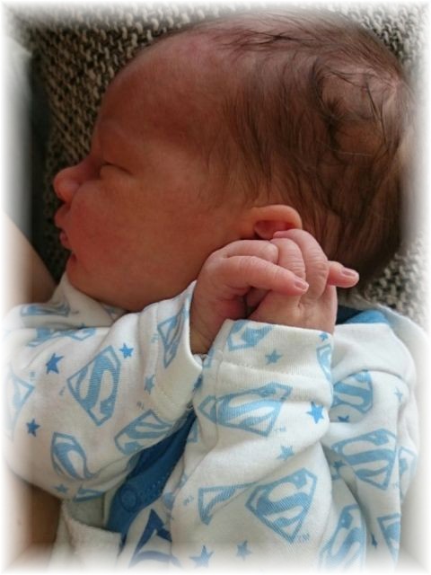 014_2017.jpg - 65250 Bytes