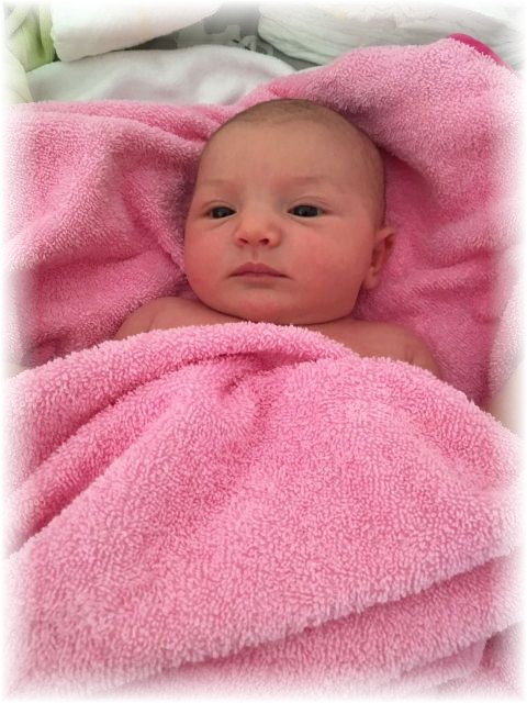 016_2017.jpg - 65250 Bytes