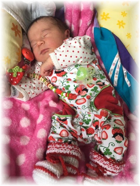 017_2017.jpg - 65250 Bytes