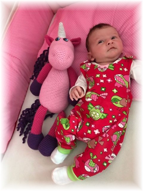 022_2017.jpg - 65250 Bytes