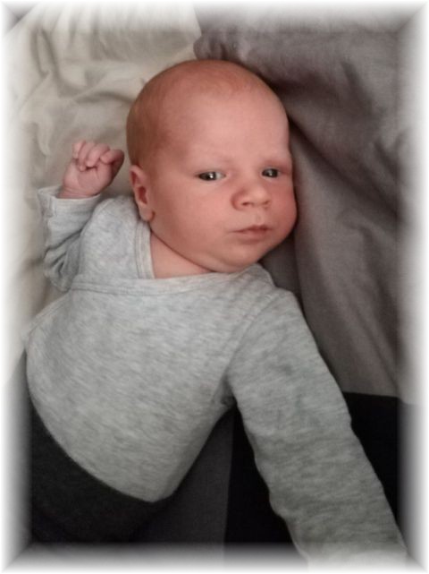 023_2017.jpg - 65250 Bytes