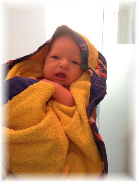 024_2017.jpg - 65250 Bytes