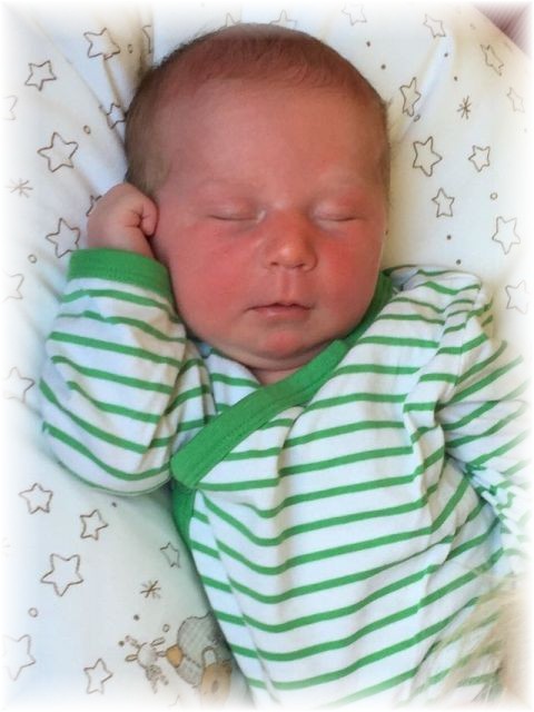 026_2017.jpg - 65250 Bytes