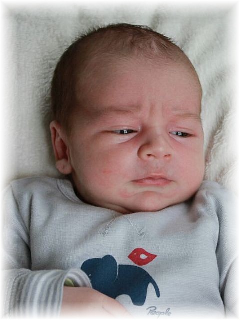 031_2017.jpg - 65250 Bytes