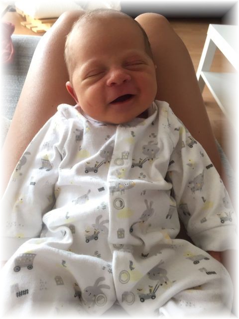 032_2017.jpg - 65250 Bytes