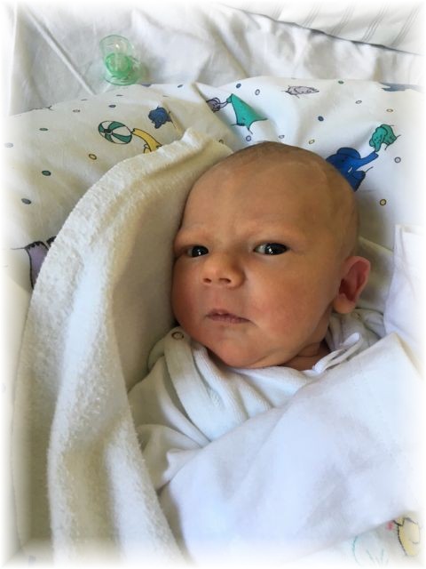 035_2017.jpg - 65250 Bytes