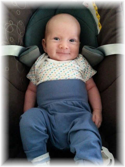 036_2017.jpg - 65250 Bytes