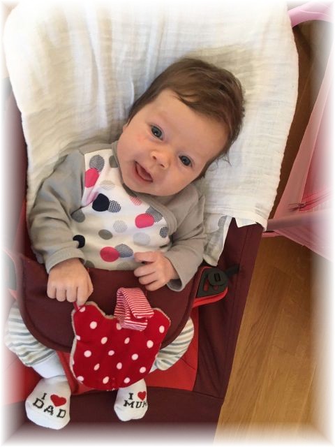 039_2017.jpg - 65250 Bytes