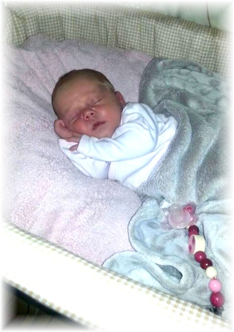 041_2017.jpg - 65250 Bytes