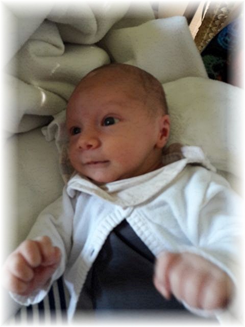 042_2017.jpg - 65250 Bytes