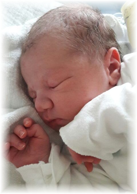 044_2017.jpg - 65250 Bytes