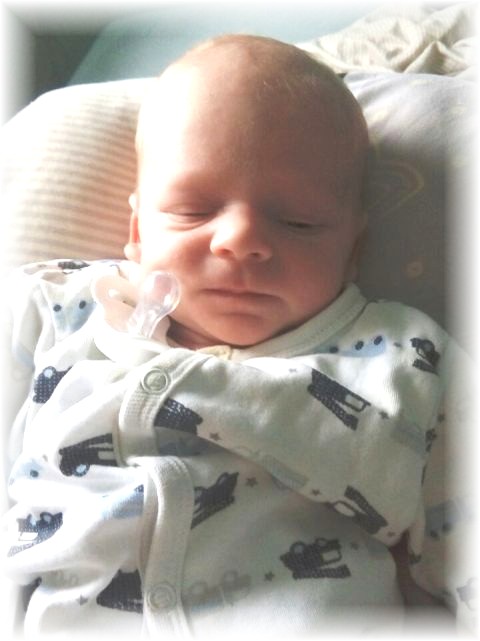 046_2017.jpg - 65250 Bytes