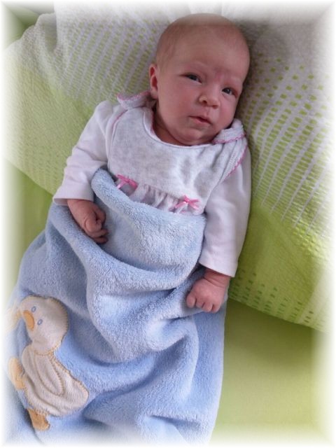 049_2017.jpg - 65250 Bytes