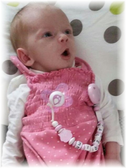 055_2017.jpg - 65250 Bytes