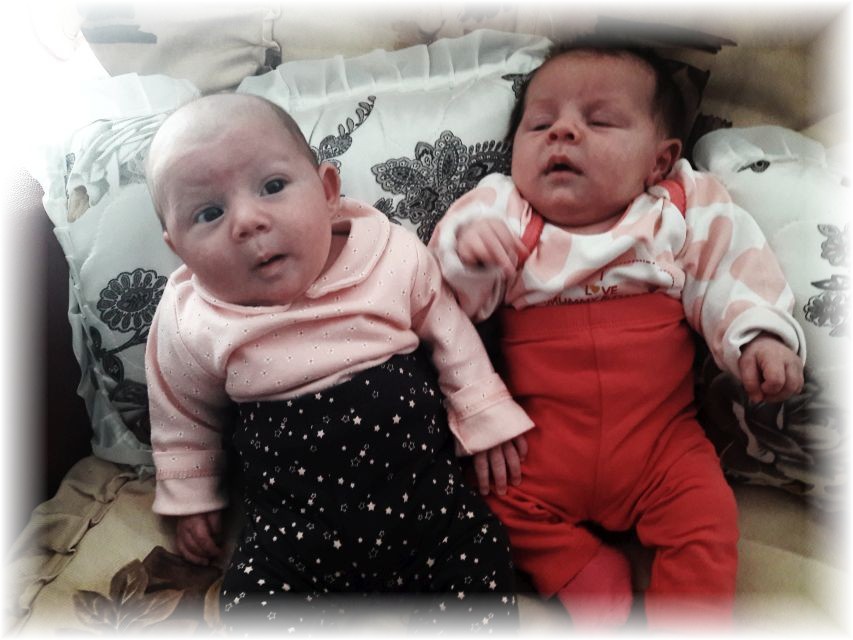 058_2017.jpg - 65250 Bytes