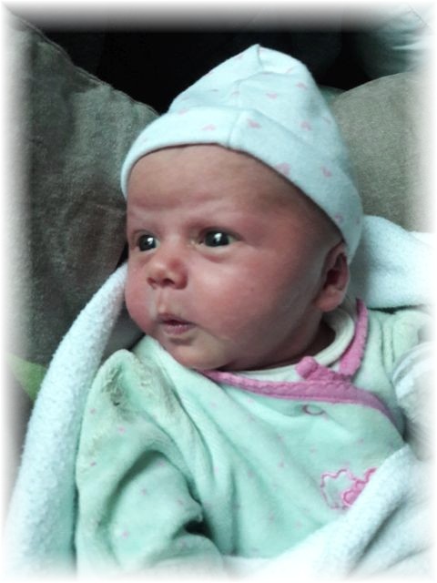 060_2017.jpg - 65250 Bytes