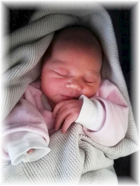 061_2017.jpg - 65250 Bytes