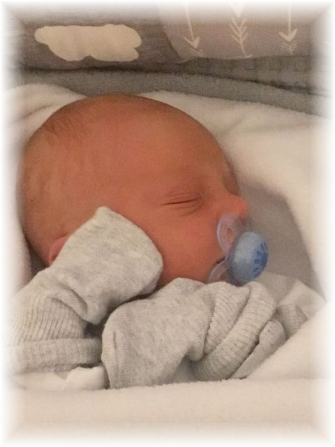 063_2017.jpg - 65250 Bytes