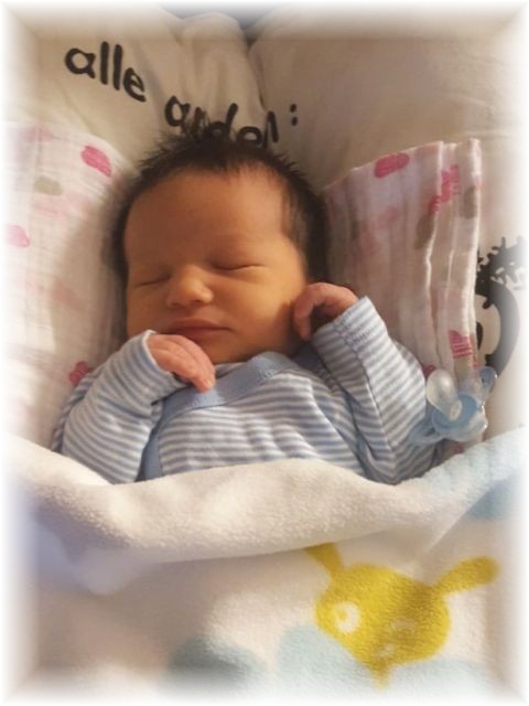 065_2017.jpg - 65250 Bytes