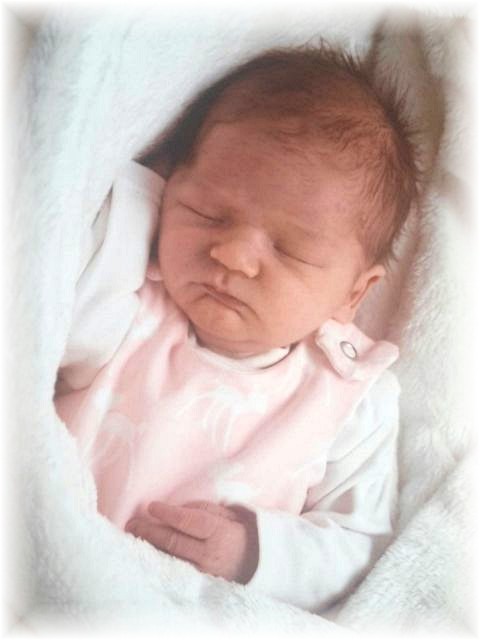 067_2017.jpg - 65250 Bytes