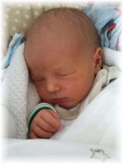 068_1_2016.jpg - 52092 Bytes