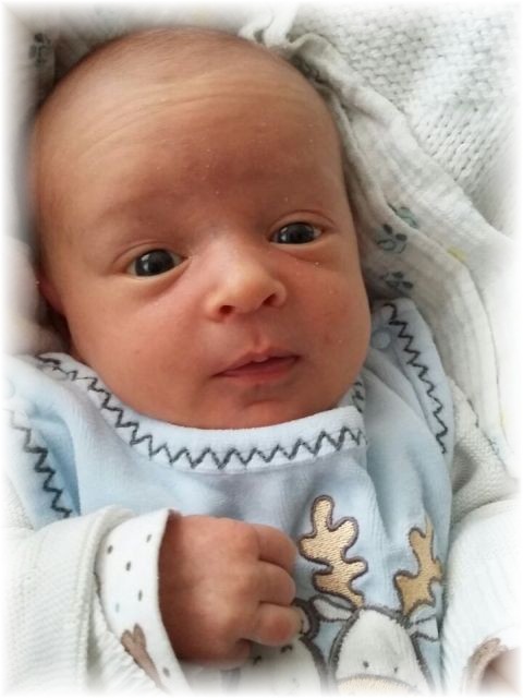 068_2_2016.jpg - 44389 Bytes