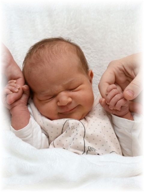 008_2018.jpg - 65250 Bytes