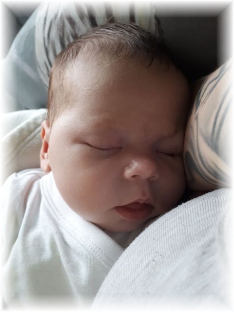 009_2018.jpg - 65250 Bytes