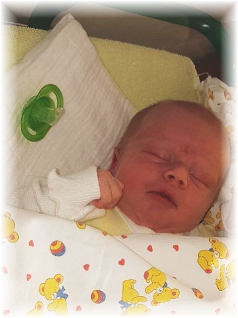 010_2018.jpg - 65250 Bytes