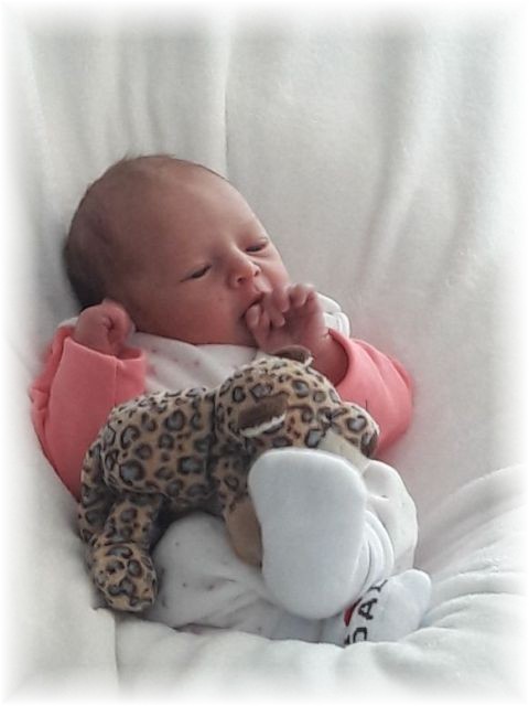 012_2018.jpg - 65250 Bytes