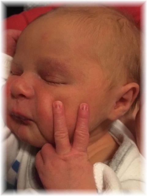 014_2018.jpg - 65250 Bytes