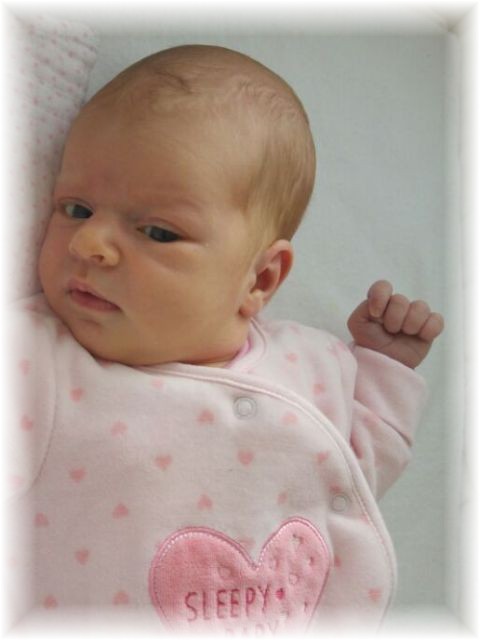 015_2018.jpg - 65250 Bytes