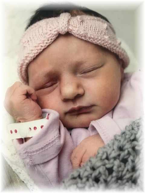 018a_2018.jpg - 65250 Bytes