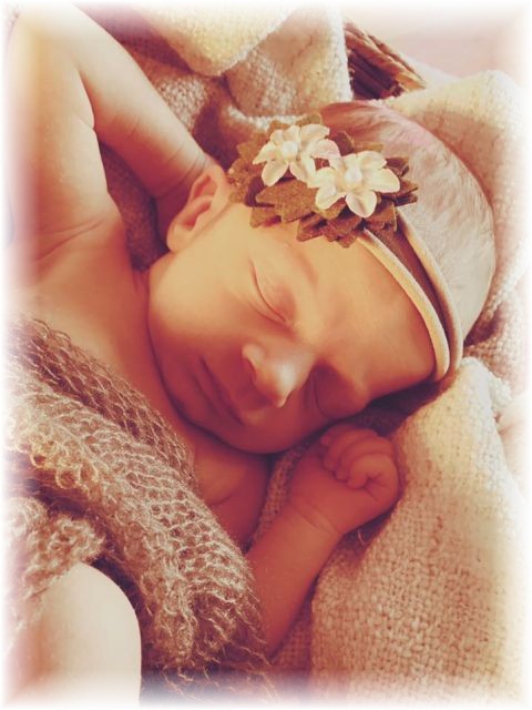 020_2018.jpg - 65250 Bytes